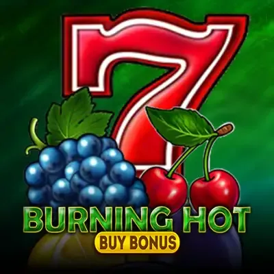 Burning Hot Buy Bonus screenshot